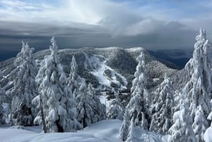 Vancouver: Caminhada na neve nas montanhas de North Shore com traslado