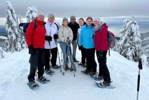 Vancouver: Caminhada na neve nas montanhas de North Shore com traslado