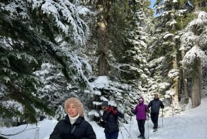 Vancouver: Caminhada na neve nas montanhas de North Shore com traslado