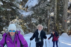 Vancouver: Caminhada na neve nas montanhas de North Shore com traslado