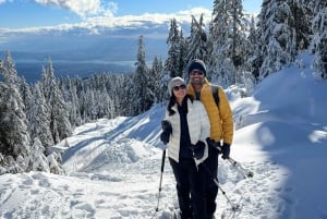 Vancouver: Caminhada na neve nas montanhas de North Shore com traslado