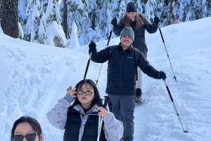 Vancouver, Vancouver Snöskovandring i North Shore Mountains med transfer