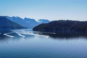 Vancouver : Excursion matinale en jetski sur l'océan