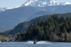 Vancouver: Ocean Jetski Aamukierros