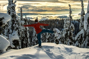 Vancouver: Panoramic View Hiking Tour