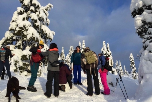 Vancouver: Panoramic View Hiking Tour