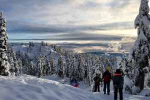 Vancouver: Panoramic View Hiking Tour