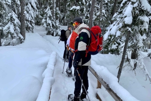 Vancouver: Panoraamanäkymät vaelluskierros