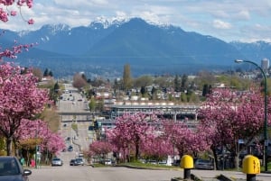 Vancouver: Privat byvandring med bådtur til sæler