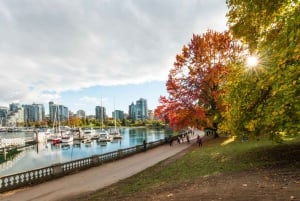 Vancouver: Privat byvandring med bådtur til sæler