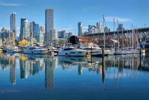 Vancouver: Privat byvandring med bådtur til sæler
