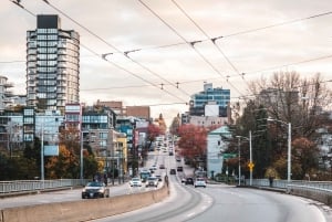 Vancouver: Privat byvandring med bådtur til sæler