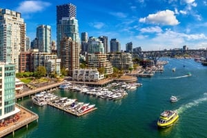 Vancouver: Privat byvandring med bådtur til sæler