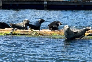 Vancouver: Private Granite Falls Boat Tour