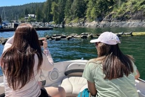 Vancouver: Private Granite Falls Boat Tour