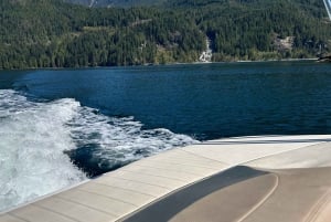 Vancouver: Private Granite Falls Boat Tour