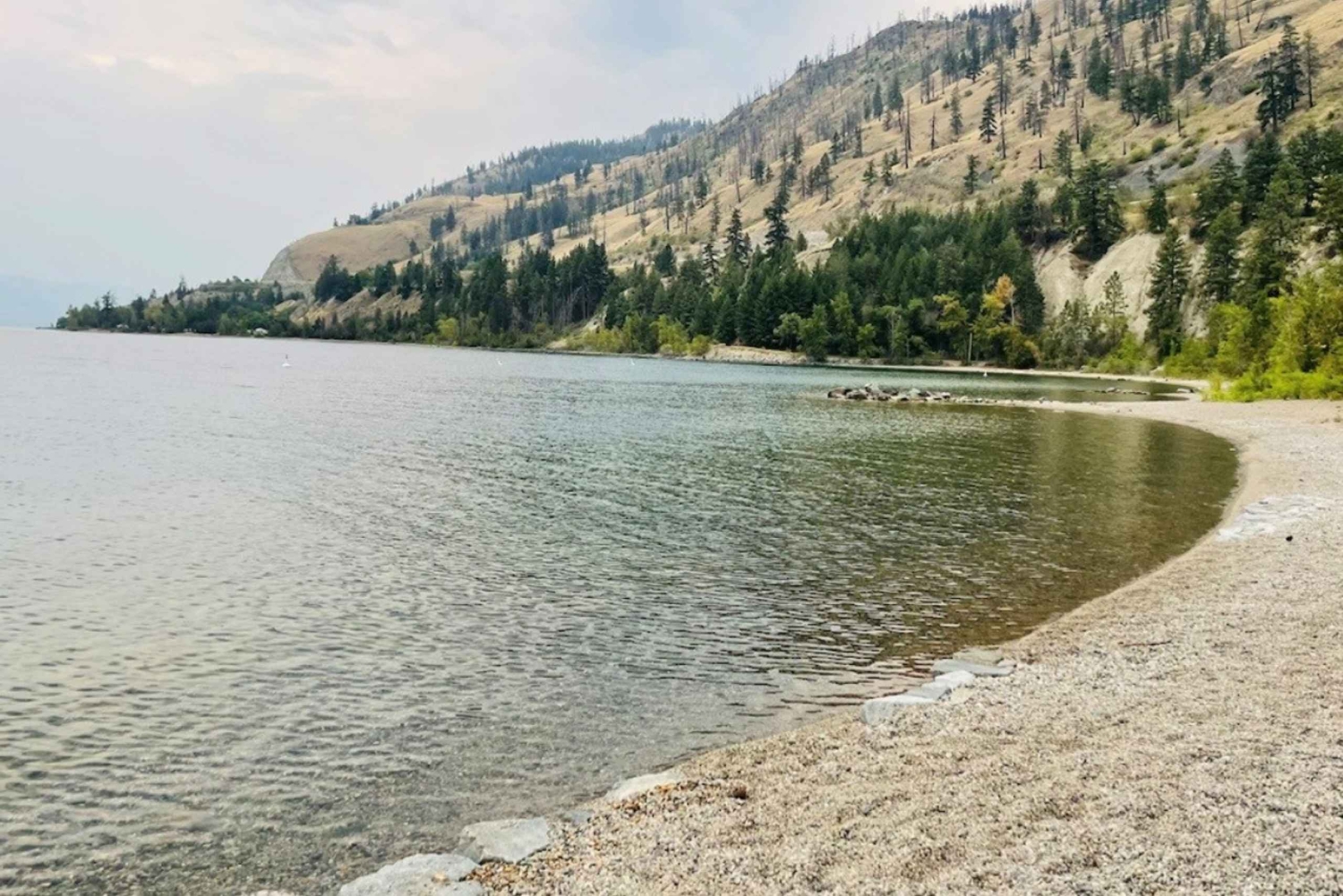 Vancouver: Yksityinen pyöräretki Kelownan viinialueelle