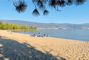 Vancouver: Yksityinen pyöräretki Kelownan viinialueelle