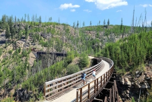 Vancouver: Yksityinen pyöräretki Kelownan viinialueelle