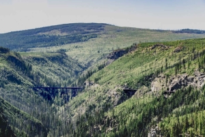 Vancouver: Yksityinen pyöräretki Kelownan viinialueelle