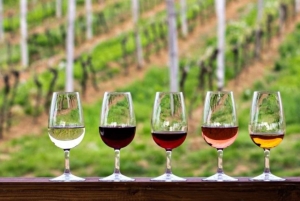 Vancouver: Yksityinen pyöräretki Kelownan viinialueelle