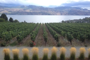 Vancouver: Yksityinen pyöräretki Kelownan viinialueelle