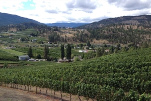 Vancouver: Yksityinen pyöräretki Kelownan viinialueelle