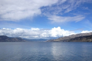 Vancouver: Yksityinen pyöräretki Kelownan viinialueelle