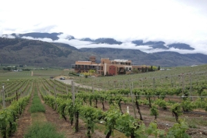 Vancouver: Yksityinen pyöräretki Kelownan viinialueelle