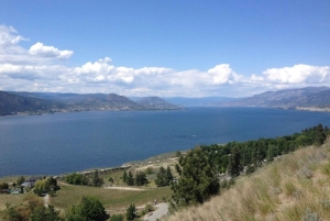 Vancouver: Yksityinen pyöräretki Kelownan viinialueelle