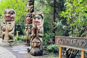 Vancouver: Private Tour City Sights, FlyOver & Capilano