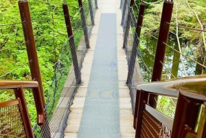 Vancouver: Private Tour City Sights, FlyOver & Capilano