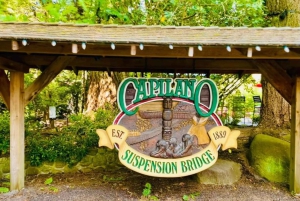 Vancouver: Private Tour City Sights, FlyOver & Capilano