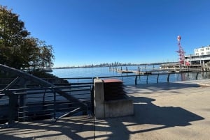 Vancouver: privétransfer naar Whistler met tussenstops