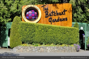 Vancouver: Private Victoria and Butchart Gardens Ferry Tour