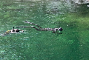 Vancouver: Rainforest Waterfall Hike and Suspension Bridge