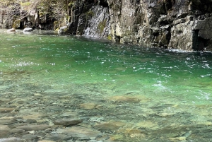 Vancouver: Rainforest Waterfall Hike and Suspension Bridge