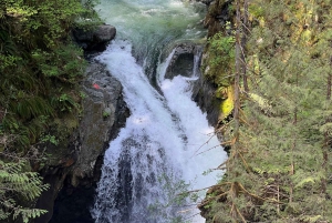 Vancouver: Rainforest Waterfall Hike and Suspension Bridge