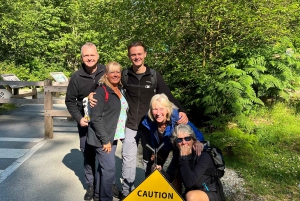 Vancouver: Rainforest Waterfall Hike and Suspension Bridge