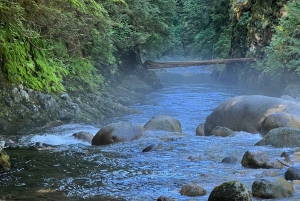 Vancouver: Rainforest Waterfall Hike and Suspension Bridge