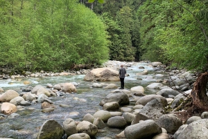 Vancouver: Rainforest Waterfall Hike and Suspension Bridge