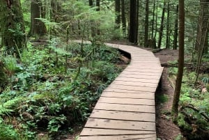 Vancouver: Rainforest Waterfall Hike and Suspension Bridge