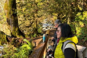 Vancouver: Rainforest Waterfall Hike and Suspension Bridge