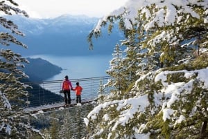 Vancouver: Sea to Sky Gondola and Whistler Day Tour