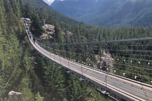 Ванкувер: однодневная экскурсия «От моря до неба» на канатной дороге и в Уистлер