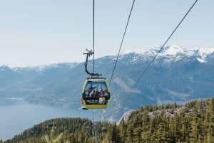 Vancouver: Sea to Sky Gondola and Whistler Day Trip