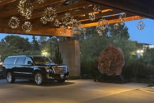 Vancouver: Sea-to-Sky-Gondola & Shannon Falls Tour