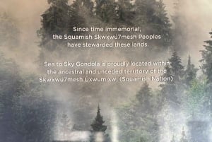 Vancouver: Sea-to-Sky-Gondola & Shannon Falls Tour