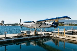 Vancouver: Seaplane Flight & Capilano Suspension Bridge Park