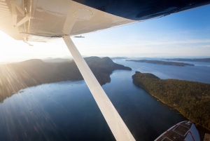 Vancouver: Seaplane to Victoria and Whale Watching Day Trip